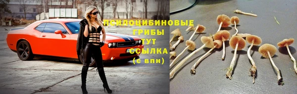 спайс Балахна