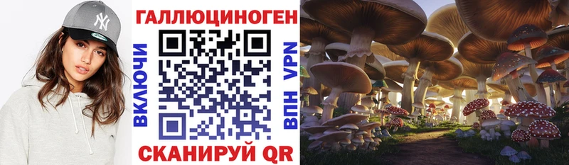 Псилоцибиновые грибы мицелий  Рудня 